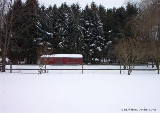 snowy-backyard-by-bill-williams-2.JPG